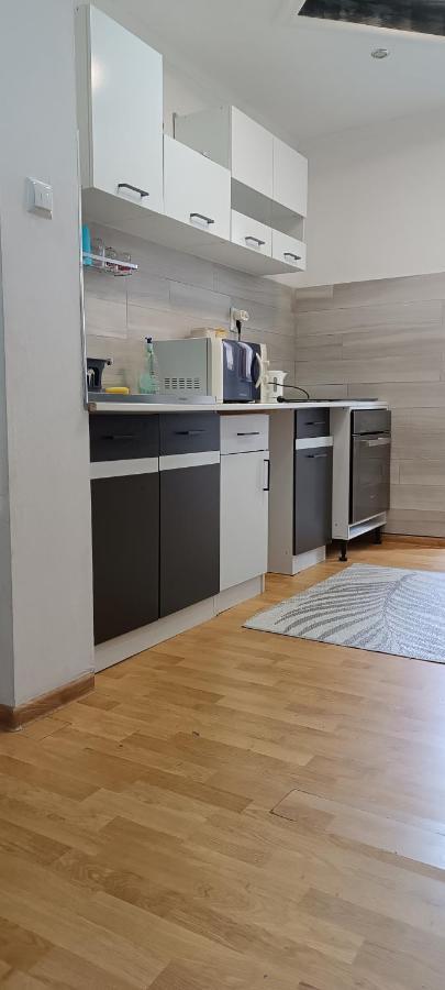Lora'S House Apartment Oradea Ngoại thất bức ảnh